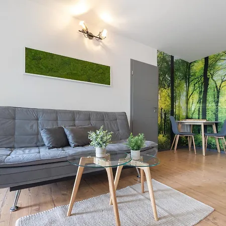 Kajuete Am Steinhuder *